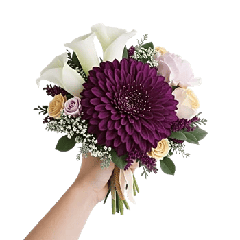 Elegant Calla Lilies
