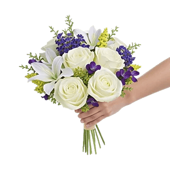 Ivory Garden Grace
