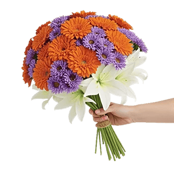 Vibrant Orange Delight