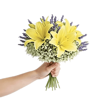 Blossom Harmony Display