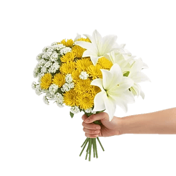 Blossom Harmony Display