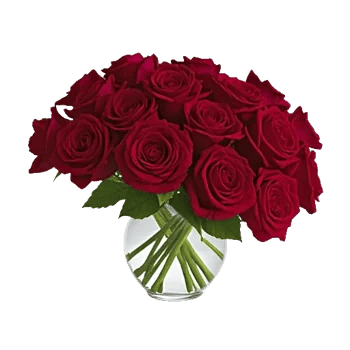 Crimson Rose Elegance
