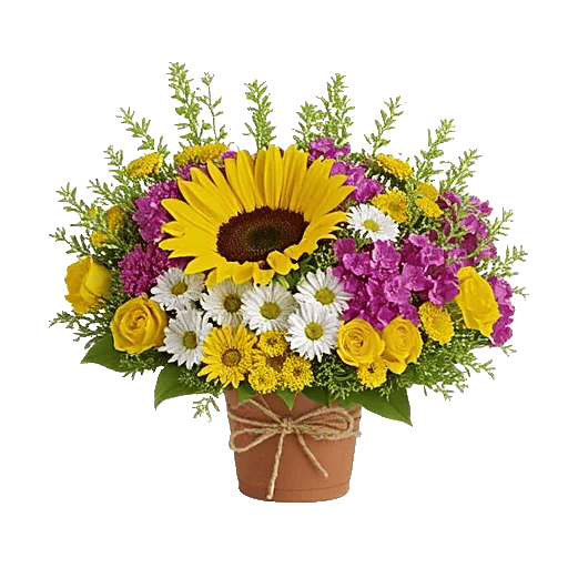 Amber Sunflower Glow