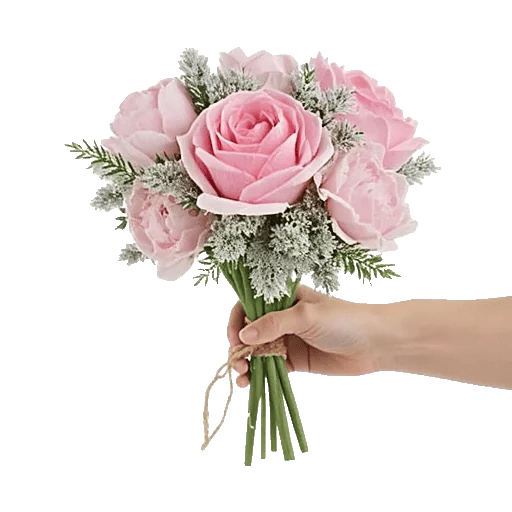 Pastel Pink Roses