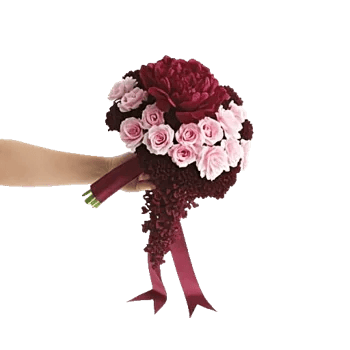 Peony Petal Harmony