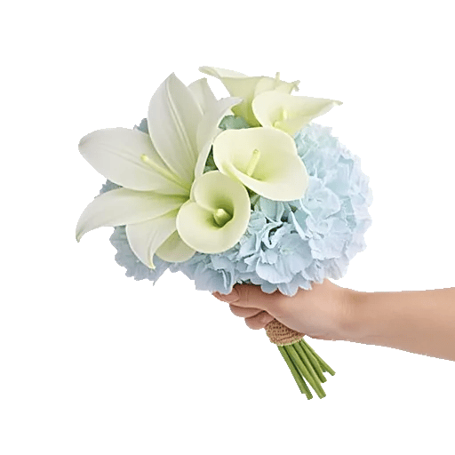 Elegant Calla Lilies