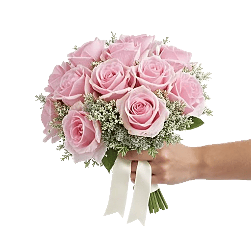 Pastel Pink Roses