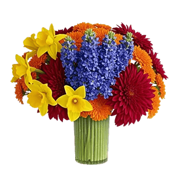 Petal Radiance Bliss