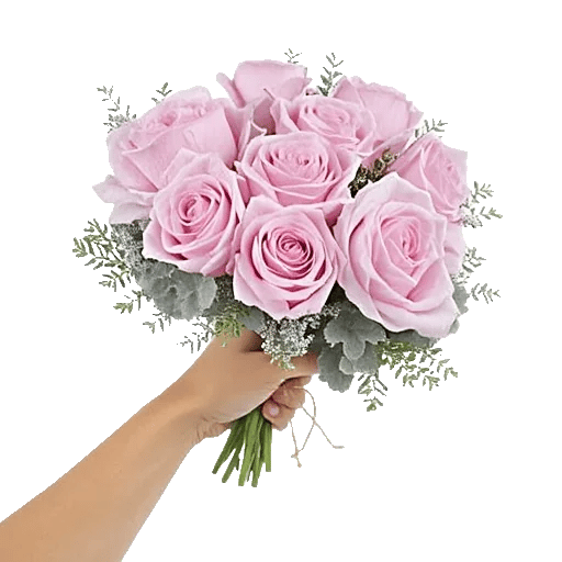 Pastel Pink Roses