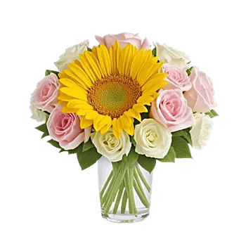 Radiant Bloom Cascade