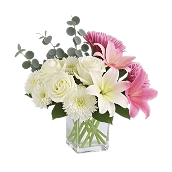 Minimalist White Orchids