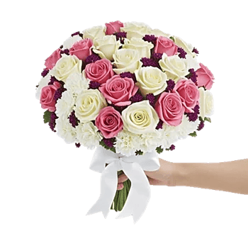 Blushing Rose Symphony