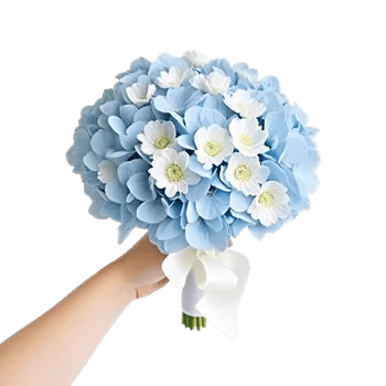 Serene Petal Harmony