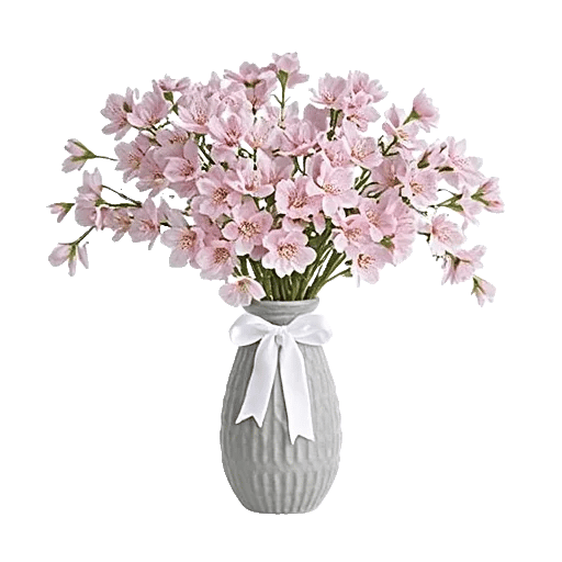 Cherry Blossom Magic