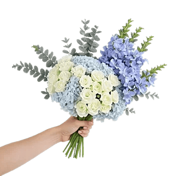 Sapphire Bloom Whisper