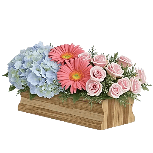 Serene Petal Harmony