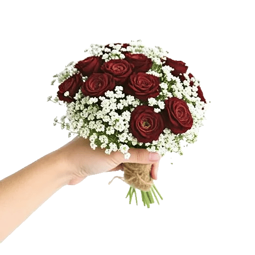 Elegant Calla Lilies