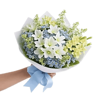 Blossom Harmony Display