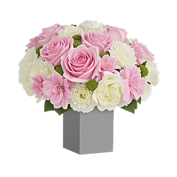 Petal Radiance Bliss