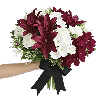 Elegant Calla Lilies