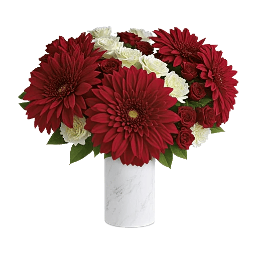 Crimson Blossom Harmony