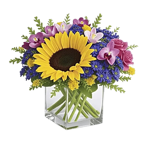 Radiant Bloom Cascade