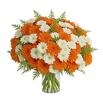 Petal Radiance Bliss