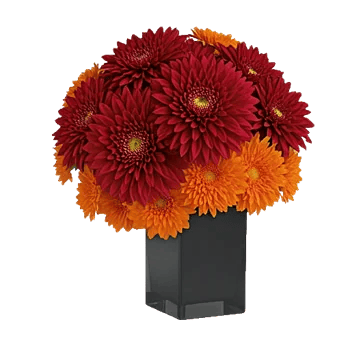 Crimson Blossom Harmony