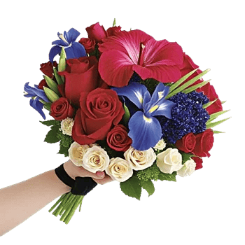 Plum Blossom Radiance