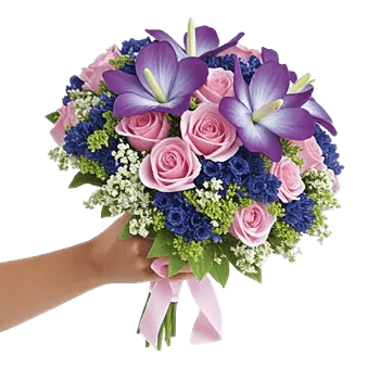 Blossom Petal Serenity