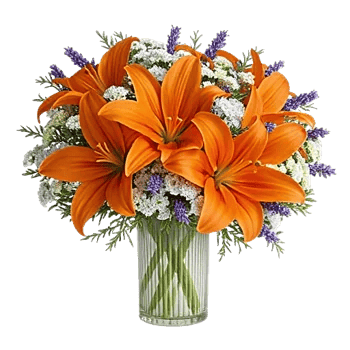 Graceful Lily Display