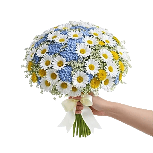 Blossom Petal Serenity