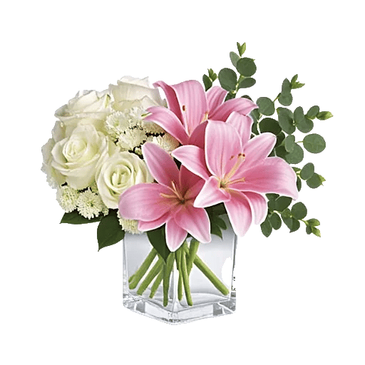 Minimalist White Orchids