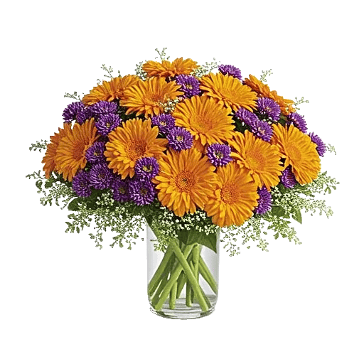 Petal Radiance Bliss