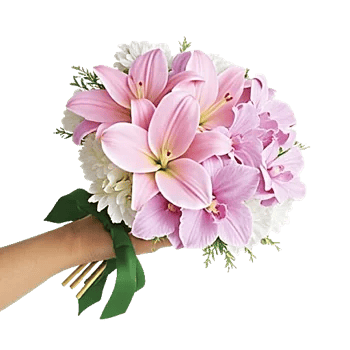 Blossom Harmony Display