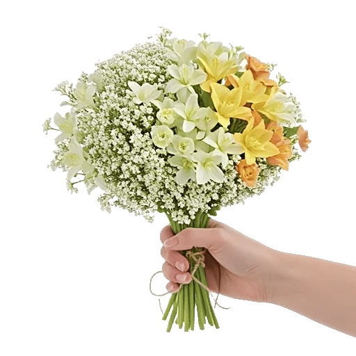 Blossom Radiant Whisper