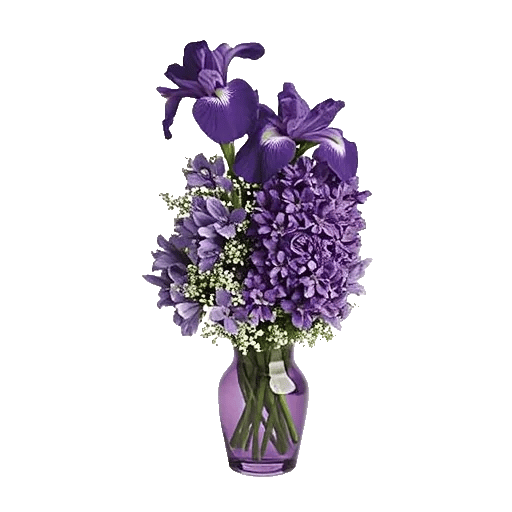 Ivory Blossom Radiance