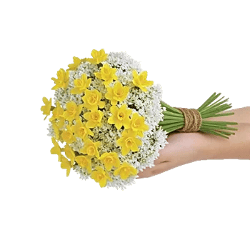 Blossom Harmony Display