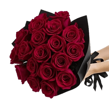 Crimson Rose Elegance