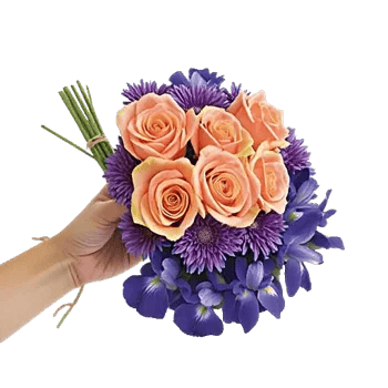 Petal Grace Harmony