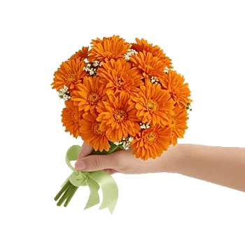 Vibrant Orange Delight