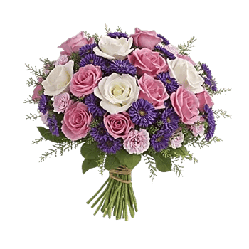 Pink Pastel Roses