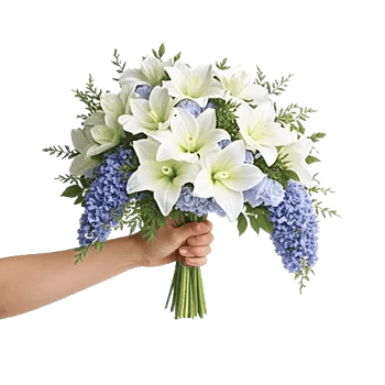 Serene Petal Harmony