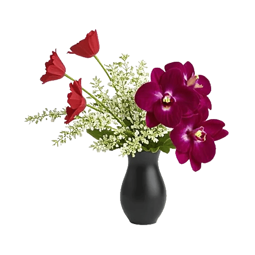 Petal Grace Harmony