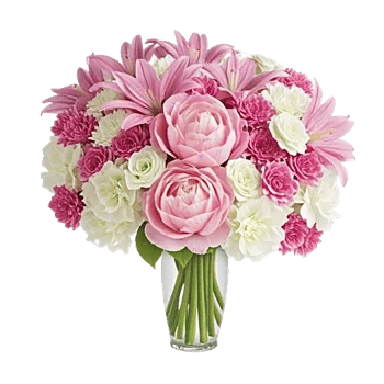 Petal Radiance Bliss