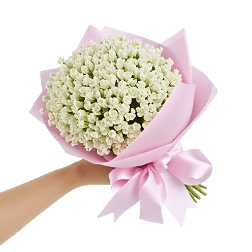 Blossom Radiant Whisper