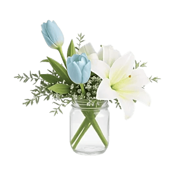 Velvet Tulip Display