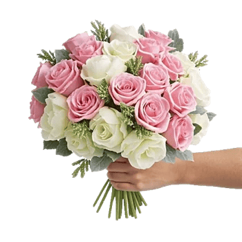 Pastel Pink Roses
