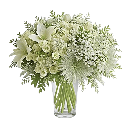 Ivory Blossom Radiance