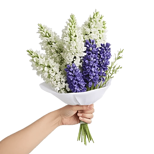 Modern White Orchids